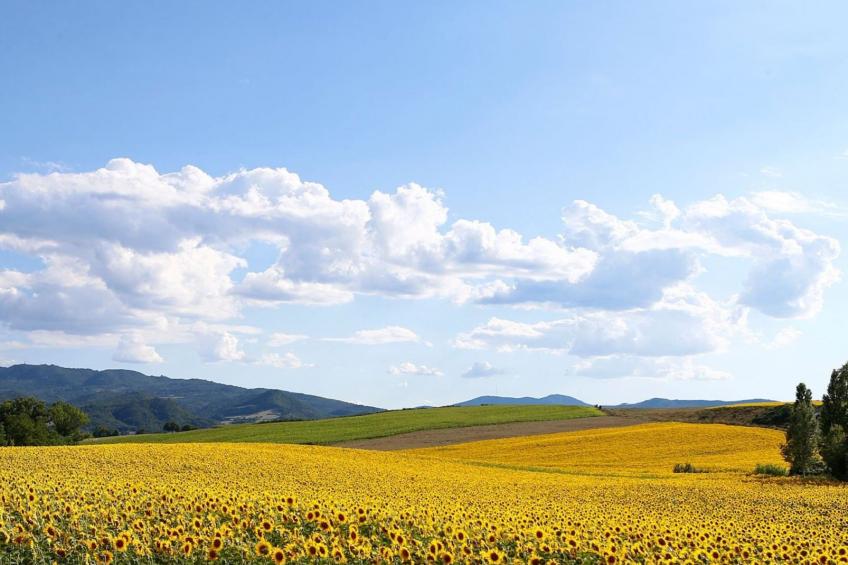 Villa mit privatem Pool in der Region Mugello - foto 7