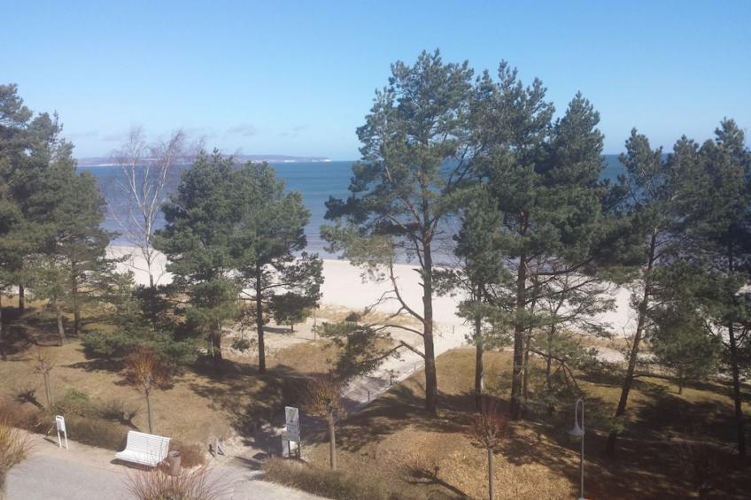 144204 - foto 3