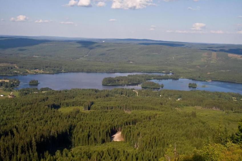 Abbas Stugby 14 - foto 19