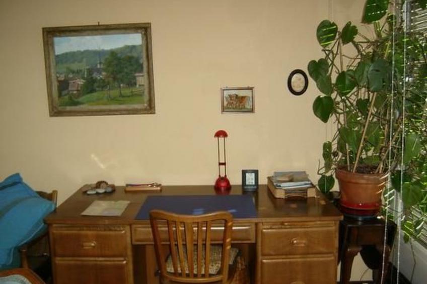 Freie Sicht auf See und Berge - foto 9