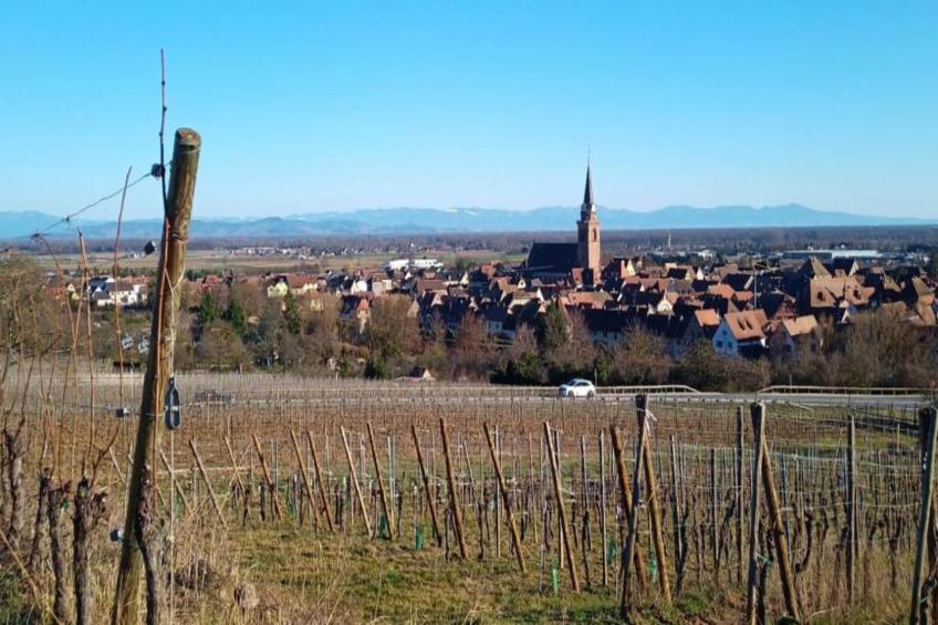 Le Domaine des Rois - foto 19