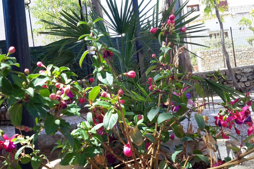 'Villa sul porto - foto 7