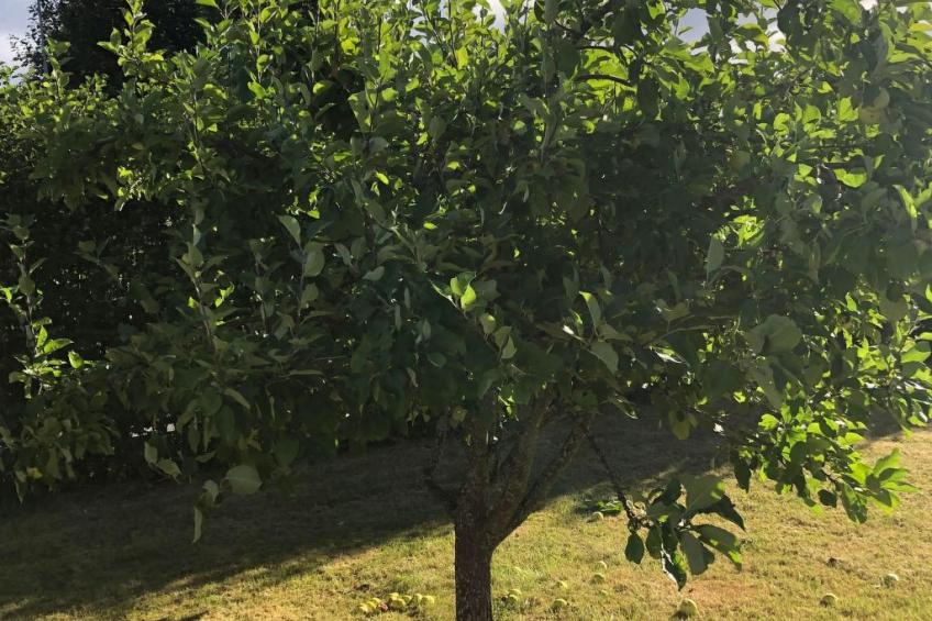 "Villa Tina" - foto 3