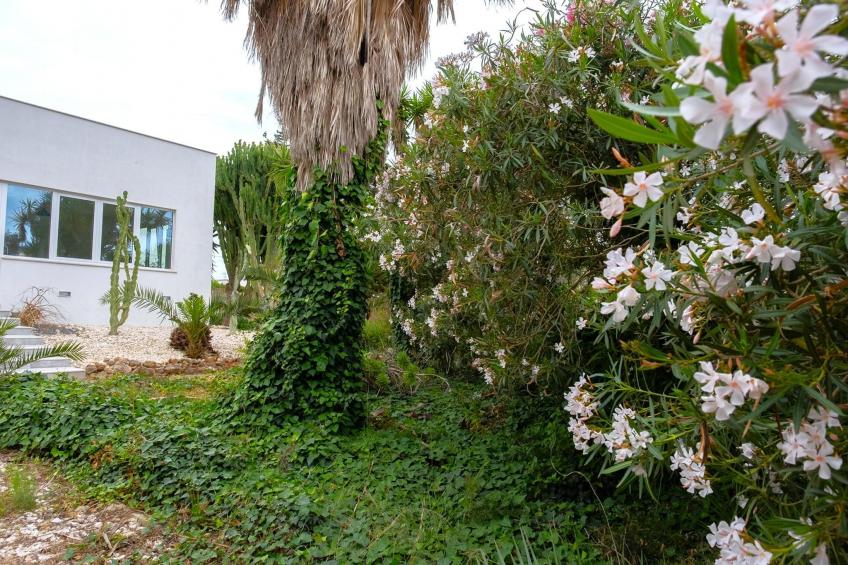 Villa Malvarosa - foto 20