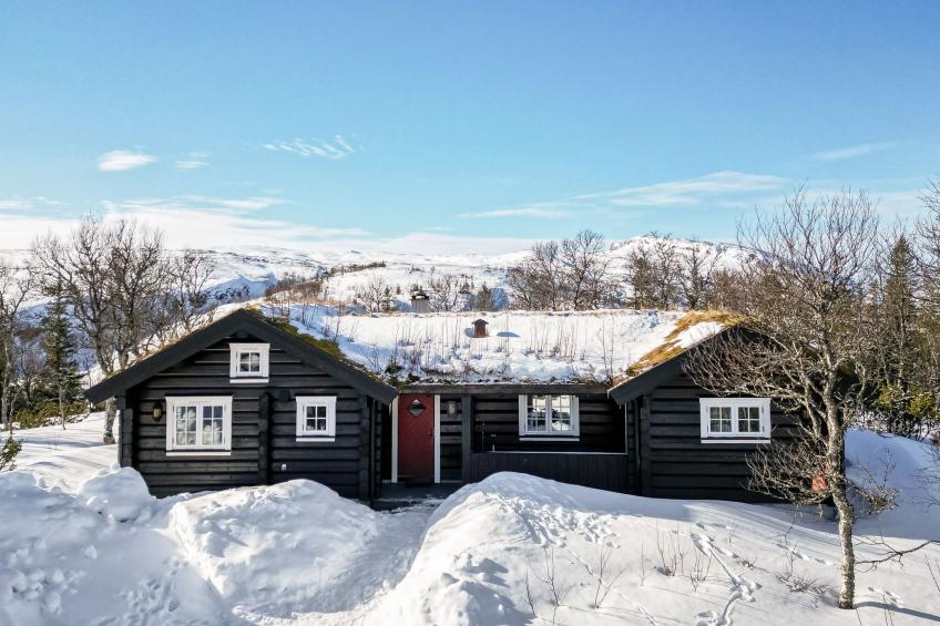 Fjälldrömmen - foto 22