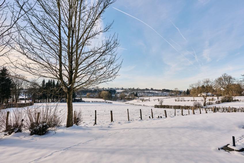 Au bord du Lac - foto 19