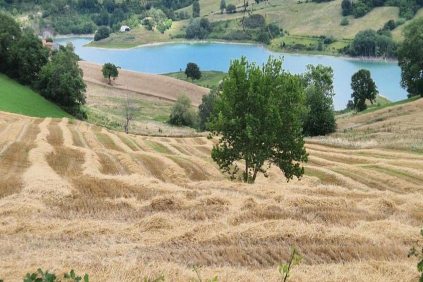 Binnella 18 - foto 30