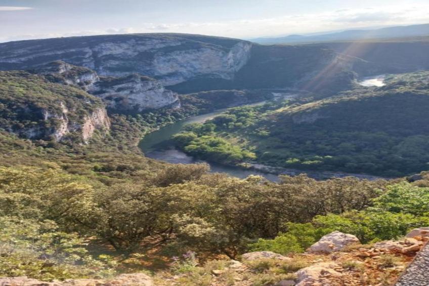 Coccinelles - foto 35