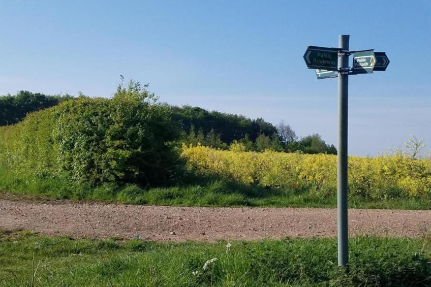 Wisteria at the Rookery - foto 21
