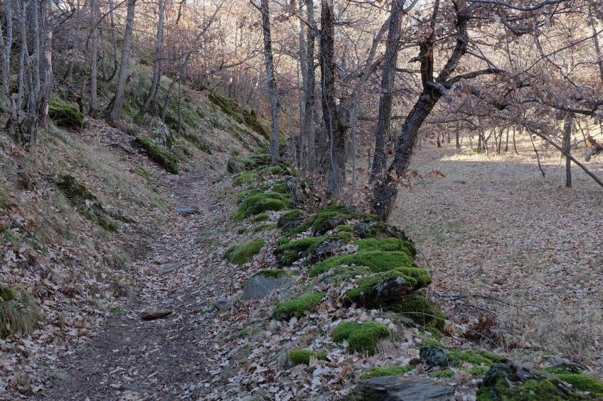 Cobert d'en Piarró - foto 27