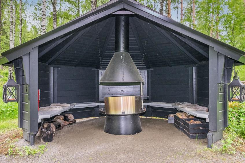 Tervapääsky - foto 26