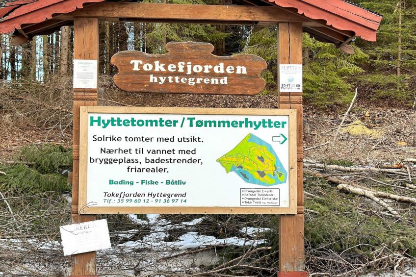 BF-TJG26 - foto 3
