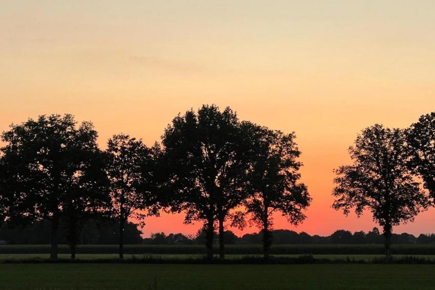 Vakantiepark Horsetellerie - foto 42