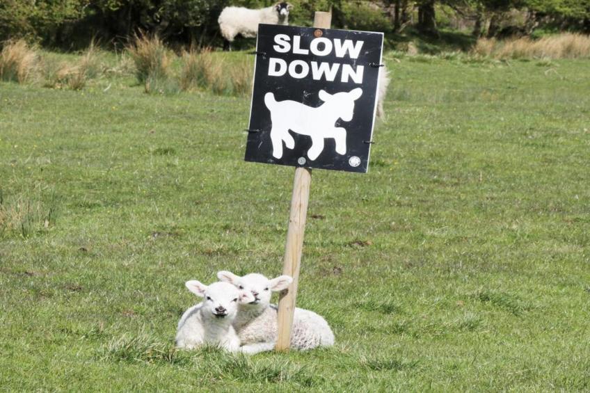 York Hall Apt - foto 20