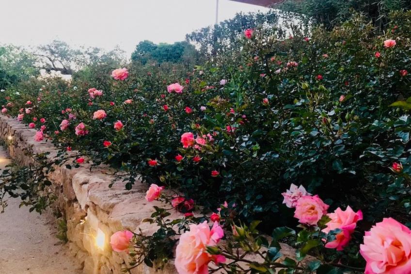 Graffeo-Häuser Haus der Rosen - foto 26