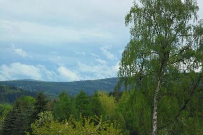 mit Blick auf das Wasser - foto 13