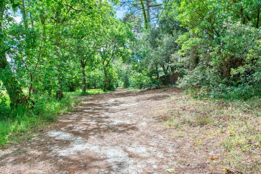 Marina de Talaris - foto 26