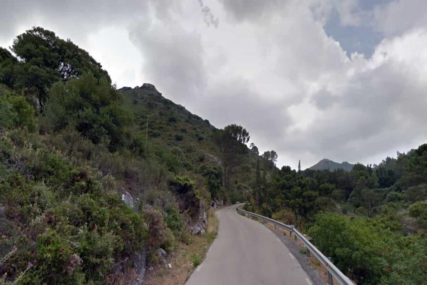 El Bosque de la Mairena - foto 36