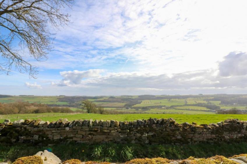 The Rushy Lot - foto 36