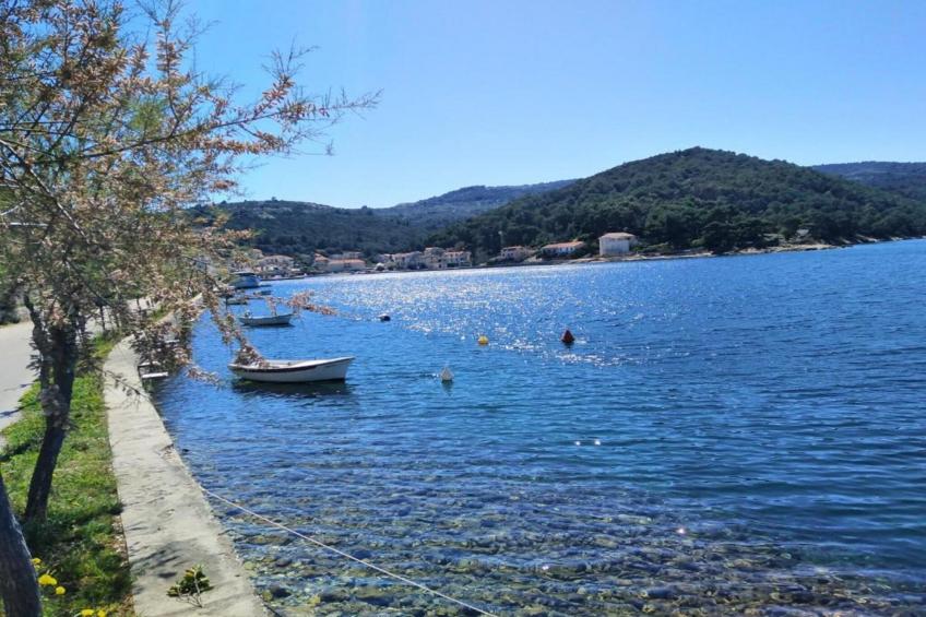 Apartments Agava & Lucija-Studio Apartment(First Floor) - foto 7