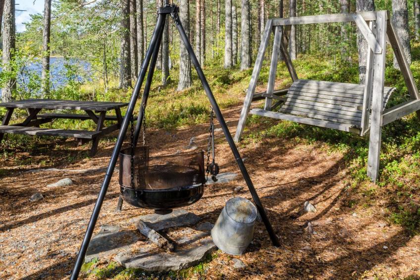 Koli, cjoe067 metsätähti - foto 3