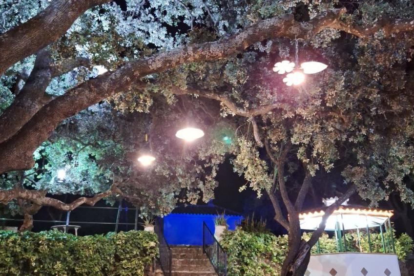 Cerro de la Cruz,charmantes Bauernhaus mit bester Aussicht,im Zentrum Andalusie - foto 25