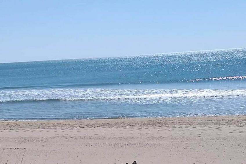 Résidence Clapotis (rés. Les) - foto 11