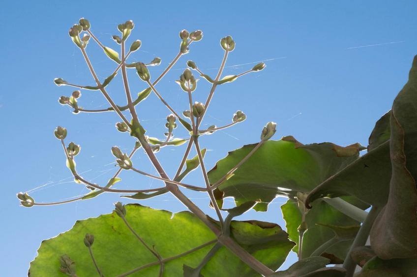 Villa Iza Belén - foto 31