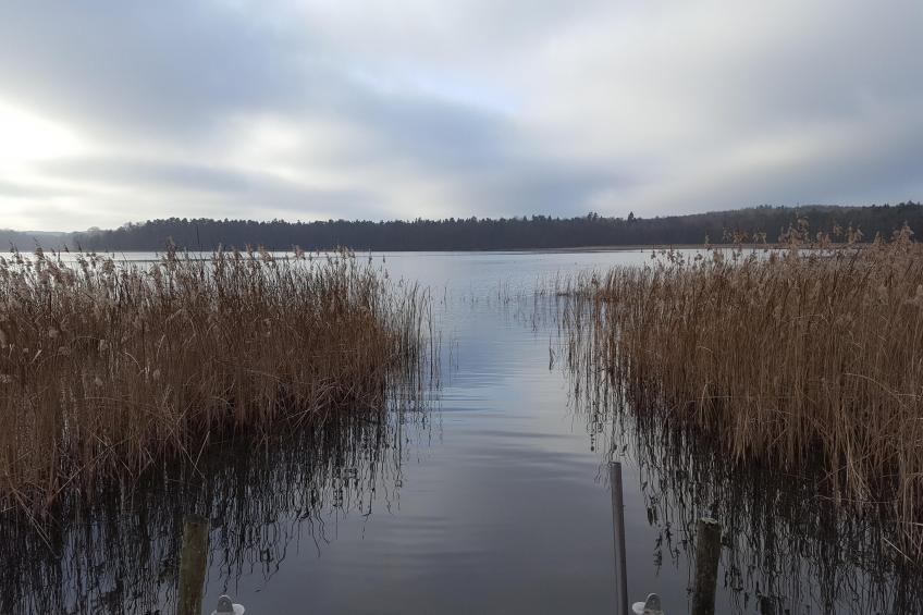 Hafendorf 1 Bedroom Apartment 3 guest - foto 34