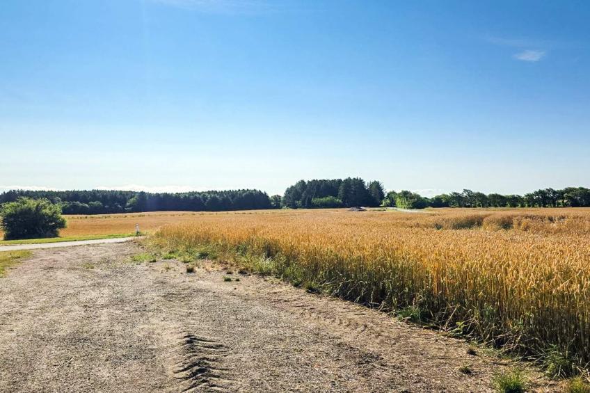 BF-M6TZW - foto 3