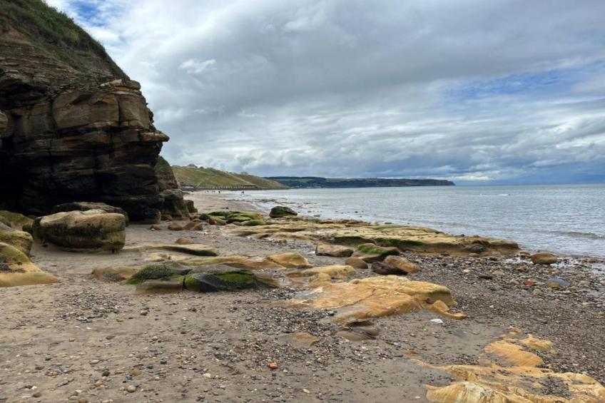 Albion Cottage - foto 11