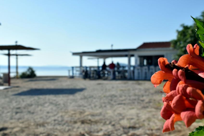 in Dobropoljana mit Privatem Pool - foto 27