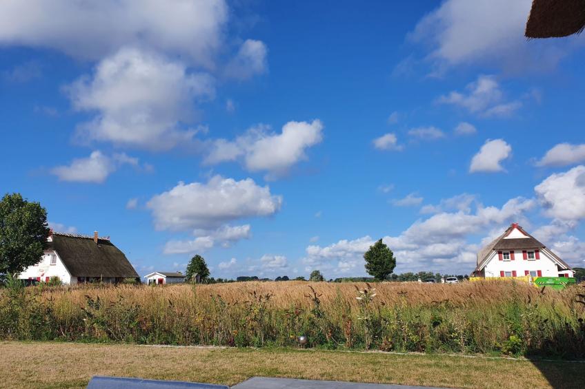 in Mellnitz mit Großem Garten - foto 43