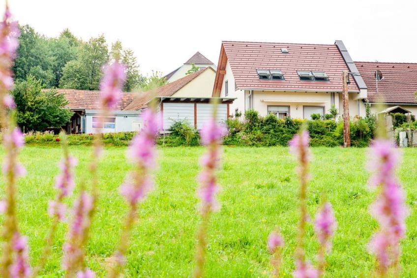 für 2 Personen  + 1 Kind ca. 45 m² in Stubenberg am See, Steiermark (Ostst - foto 2