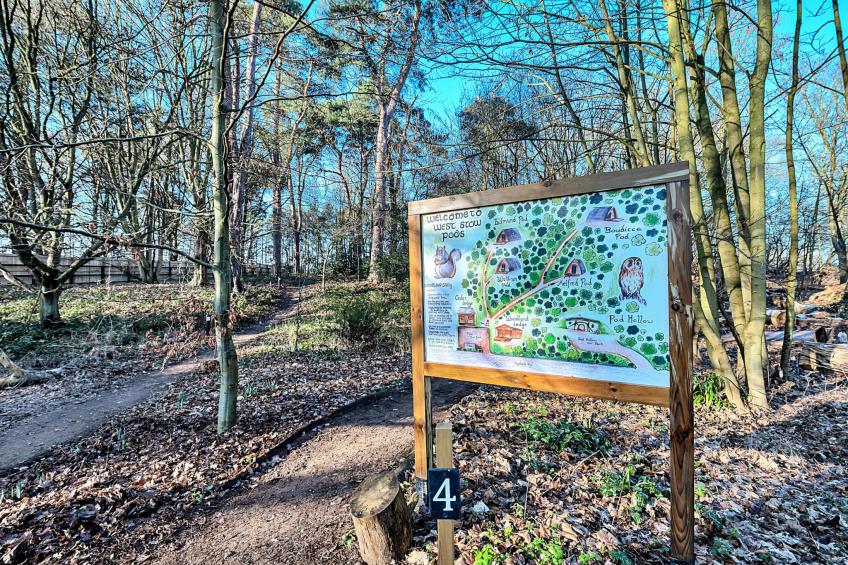 Pod Hollow - foto 19