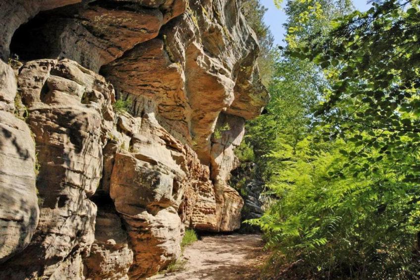 Domaine Des Messires 2 - foto 21