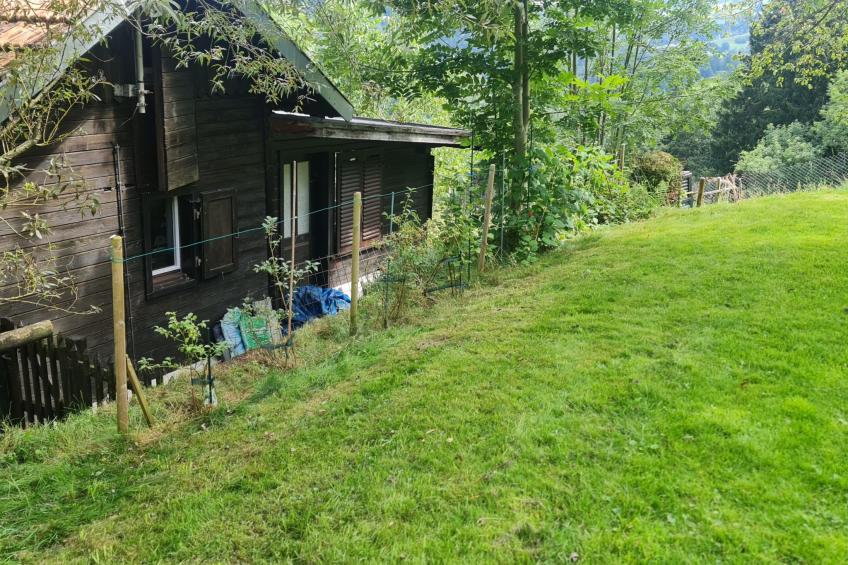 Bienenhaus Speicher - foto 16