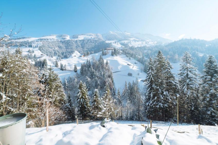 Hohstalden - foto 16