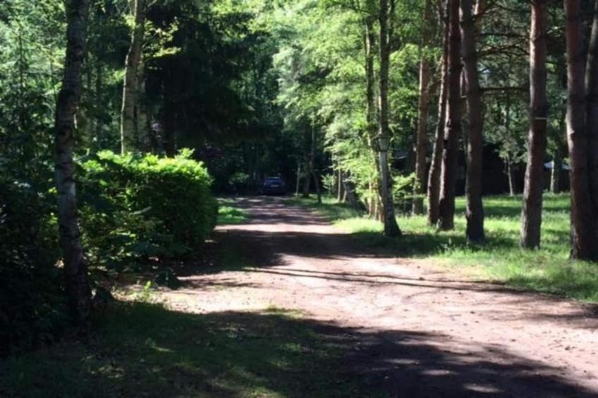 Het Bloesemklooster - foto 32