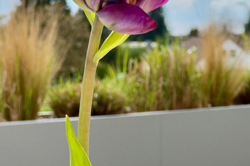 BLICKinsGRUEN - foto 40