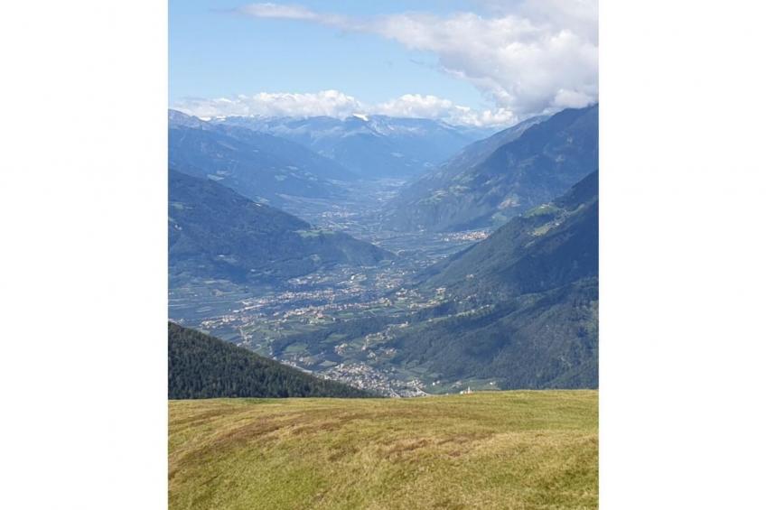 298877 - foto 13