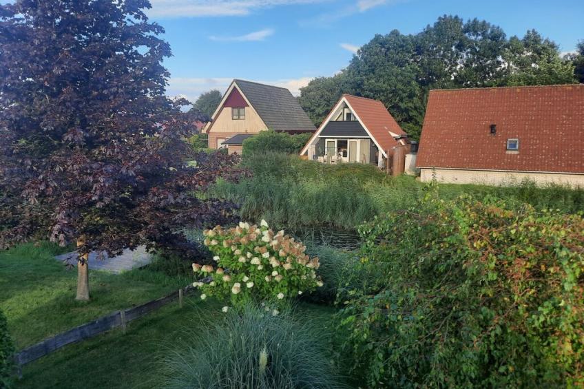 399094 - foto 7