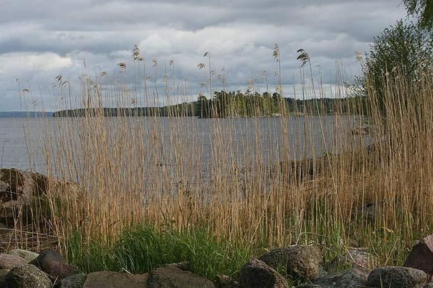 am See Skagern - foto 15