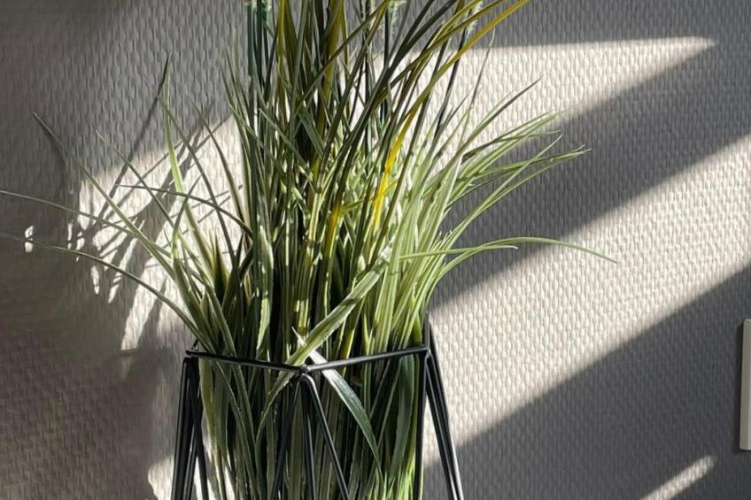 Hausboot Vroni am Bärwaldersee - foto 25