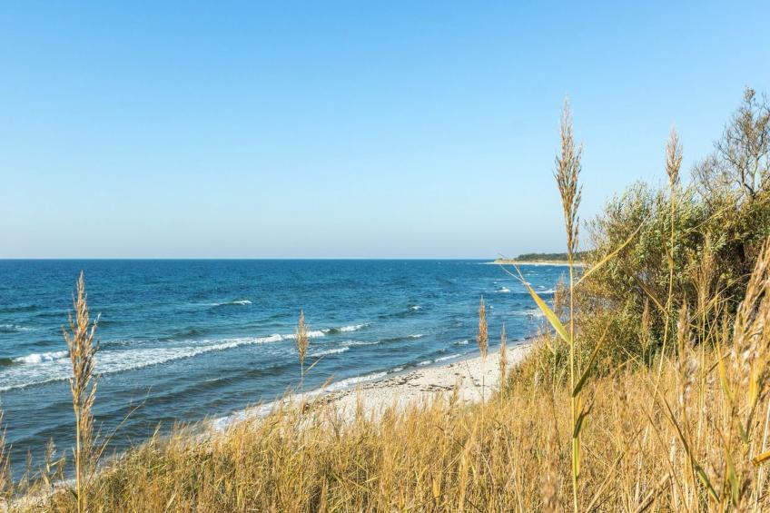 "Rina" - 50m from the sea in Bornholm - foto 26