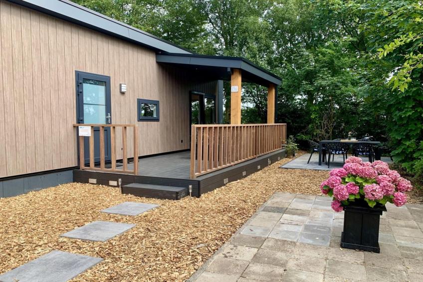 Campanula 136 - foto 11