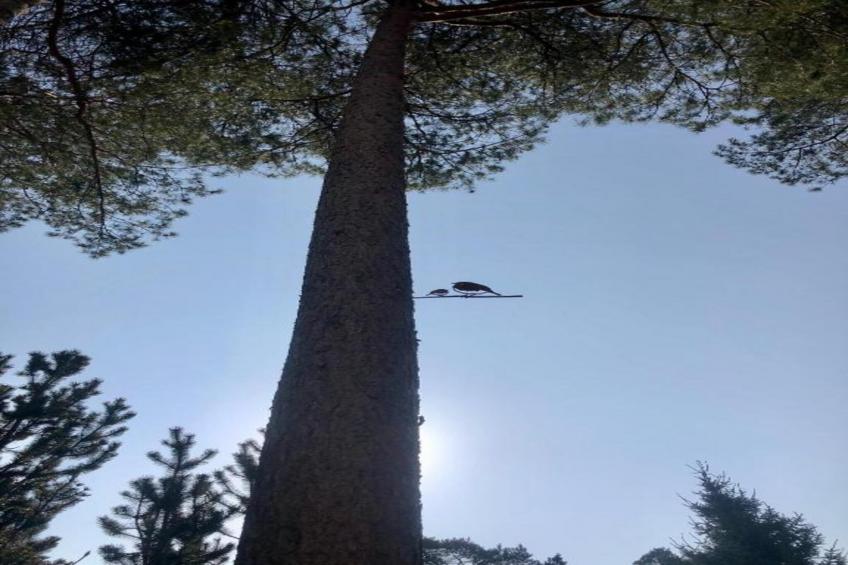 Vakantiepark de Vossenburcht - foto 32