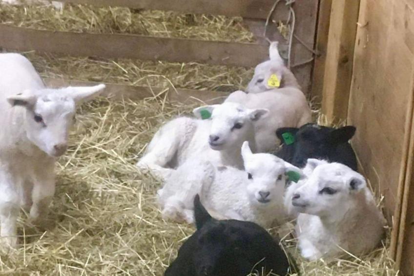 Haus mit toller Aussicht an einem schönen See - foto 23