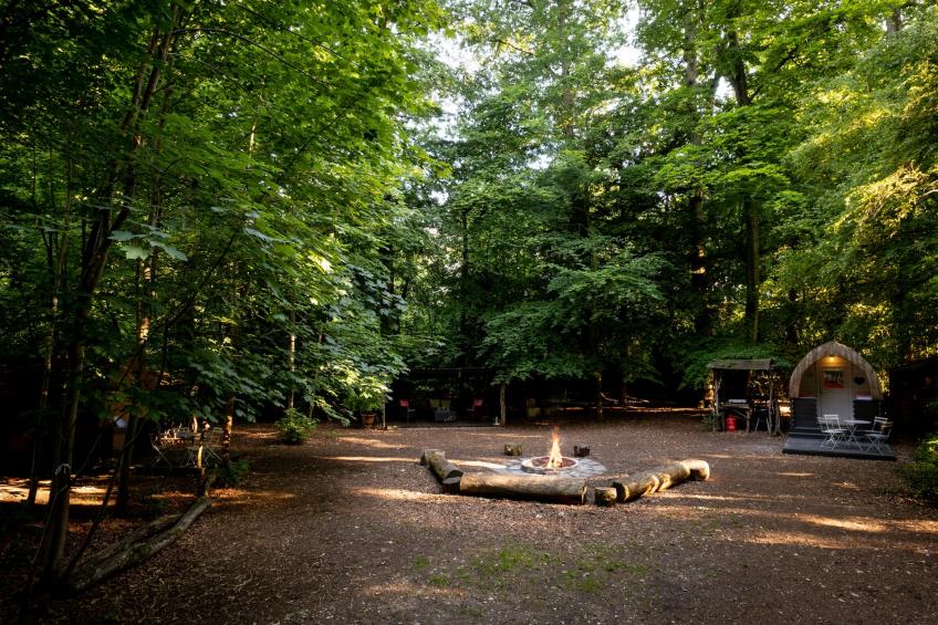 Bluebelle Glamping Pod - foto 21