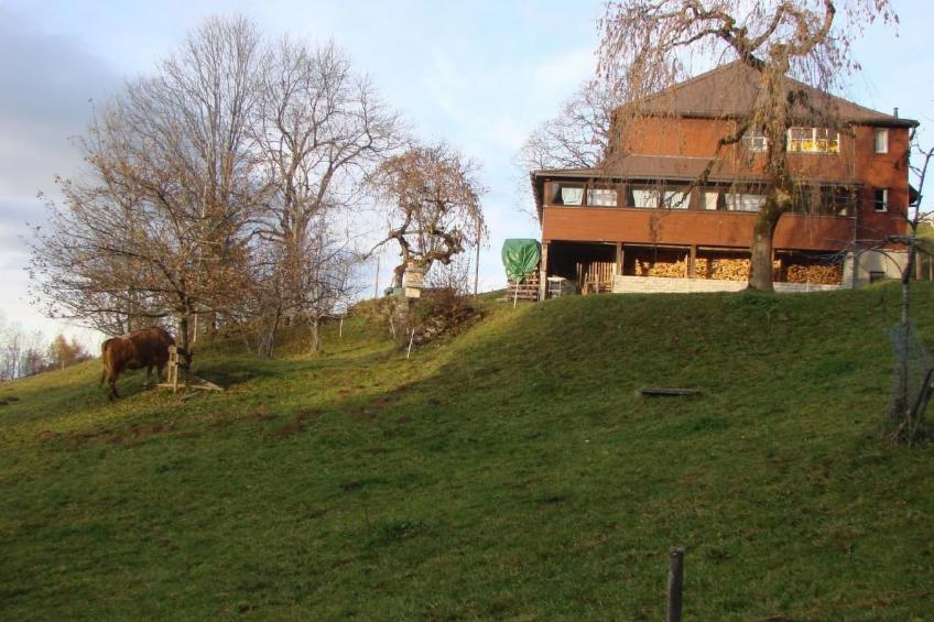 Wilerbädli - foto 2